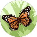 Frankie profile picture