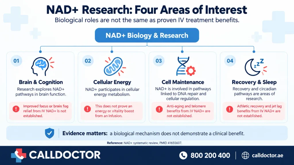What Are the Clinically Observed Benefits of an NAD+ Infusion